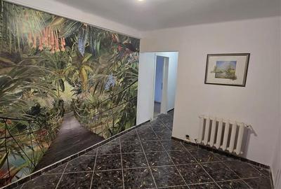 Apartament 3 camere 2 bai Zimbru- Alexandru - 9