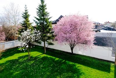 Rent | Individual Villa 7 Rooms 390sqm | Total Privacy | Pipera - 3
