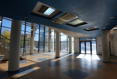 Inchiriere Spatiu Comercial 395 mp P+E Palas Campus Trafic Intens - 7
