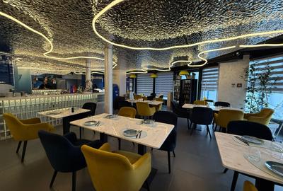 Inchiriere Spatiu comercial Iancu Nicolae - vizibilitate excelenta - 5