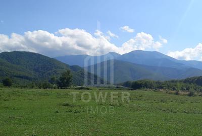 Teren intravilan de vânzare | Valea Avrigului-Porumbacu de Jos - 1