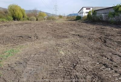 Teren intravilan 6500 mp | Parc Industrial Șieu-Măgheruș | Investiție strategică - 3