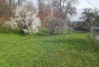 Casă / Vilă cu 7 camere   în zona Bran-Tohanita - 5