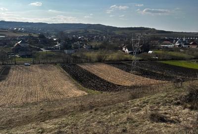 Vand sau schimb Teren extravilan 9000 mp,Corușu, Baciu acces drum apa curgatoare - 8