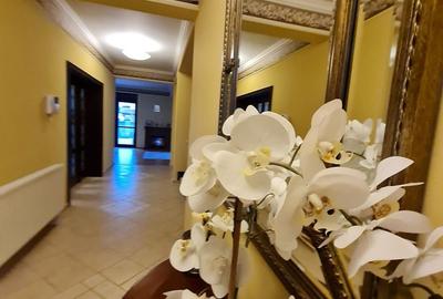 Poziție de top în Dumbravita - 14