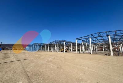 Hale de vânzare – 600 mp, open space, acces TIR, zona intrare Baciu - 7