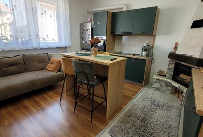 Apartament la casa - 10