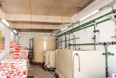 BUSINESS DE VANZARE Plantatie de afin din Romania - 13