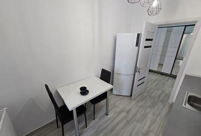 Regie Residence Inchiriere AP 2 Camere Lux ,Grozavesti ,The Bridge Business Park - 10