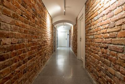 Vila de exceptie, finisaje premium, Dacia - 16