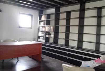 Vila moderna si spatioasa, constructie 2015, zona Mosilor - 5