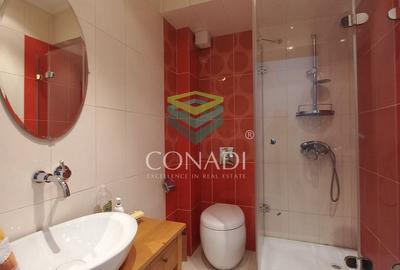 Apartament cu 4 camere  Sos Nordului-Herastrau - 16