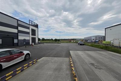 Inchiriere depozit frigorific congelare/hala/spatiu industrial Otopeni - Centura - 15
