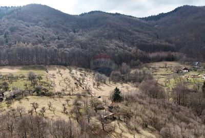 10.51 Euro + TVA / mp: Teren Bran Predelut, 24.253 mp, intravilan - 4