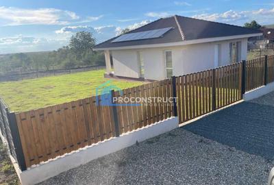 Proconstruct imobiliare vinde  casa pe parter in Petrovaselo - 1