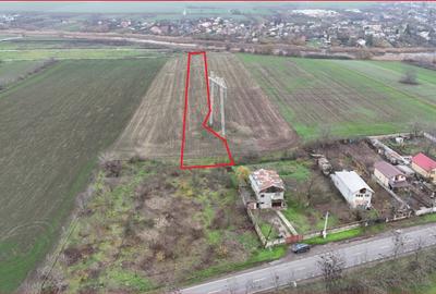 FRUMUSANI-ORASTI, LOT 7.630 MP! - 1
