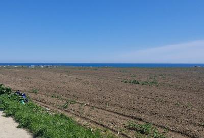 Exclusiv! Teren extravilan 8100 mp - Corbu - 33 euro/mp (Cod E8) - 1