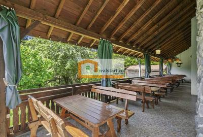 Oportunitate, Restaurant cu MiniPensiune 800mp, 1,8ha teren, Via Transilvanica - 45