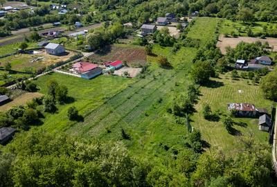 Teren de vanzare -Parava - DRAGUSANI - 2