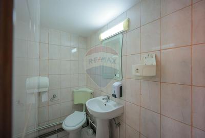 Oportunitate de investiție, Restaurantul Piatra Grăitoare,Vârtop,Bihor - 24