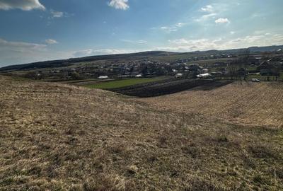 Vand sau schimb Teren extravilan 9000 mp,Corușu, Baciu acces drum apa curgatoare - 13