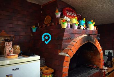 Casa de vacanta | Investitie | zona montana - padure | Arges | Leresti - 19