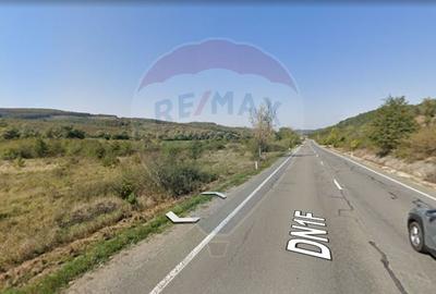 Teren de vanzare  11.698 mp , Sancraiu Almasului/Salaj -Topa Mica/Cluj - 4
