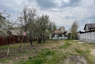 Vanzare Teren intravilan Berceni - 2