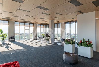 Birouri premium in Sibiu–Spatii flexibile moderne pentru companii TOP - 1