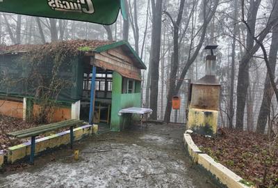 CASĂ ȘI SPAȚIU COMERCIAL | SUCEAVA | 145.000€ - 13