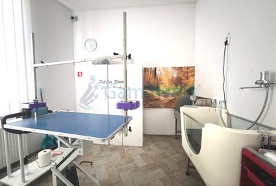 Spatiu comercial de inchiriat in Oradea cu echipament pentru coafura canina - 4