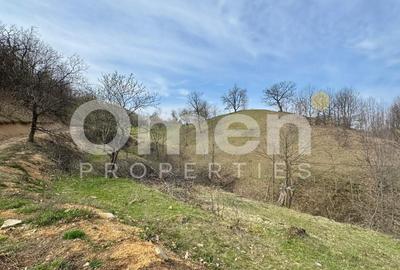 Teren intravialn | 6476 mp | Ulmoasa | zonă superbă - 1