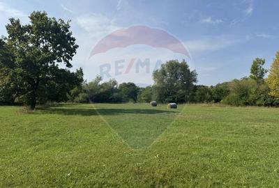 Teren 10.000 mp Calatele – Apuseni, langa rau, ideal investitie turism - 8