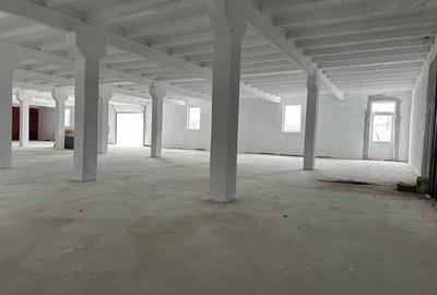 Hala industriala 500 mp Arad, zonă în dezvoltare, disponibila imediat! - 5