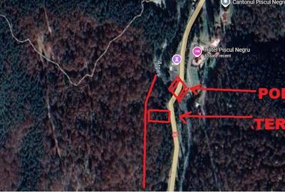 TEREN EXTRAVILAN PADURE PISCUL NEGRU ARGES - 10