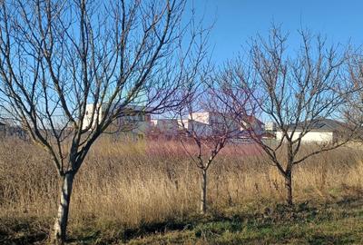 Săbăreni, teren construibil 2040 mp, stradal cu utilităti - 6