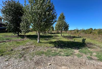 Teren intravilan Turturesti - 1