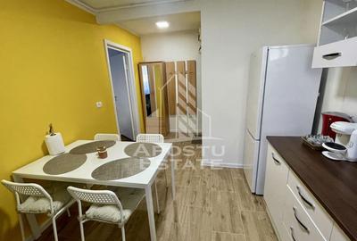 Apartament 2 camere de vanzare zona Take Ionescu - Timisoara - 8