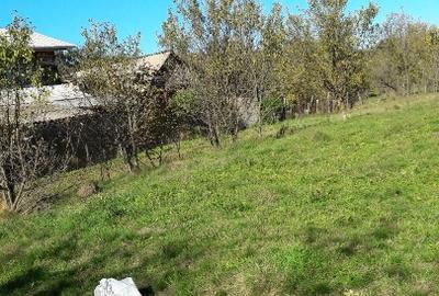 Teren intravilan în sat Făget, com. Drajna, Prahova - 9