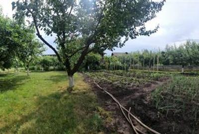 Vila de vanzare 260 mp cu anexe 40 mp si teren 1600 mp - 20