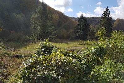 Teren intravilan ideal si de investitie, in Loc. Resita, strada Ciresului - 6
