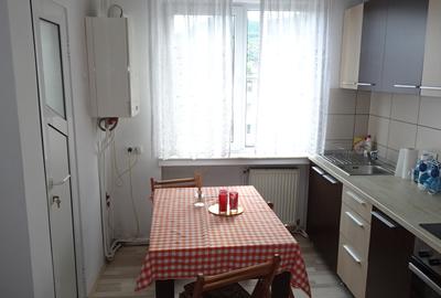 Vand apartament 2 camere in Deva, zona ultracentrala( Bd 1 Decembrie), mobilat - 9