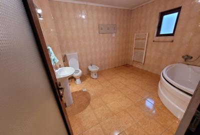 DIRECT PROPRIETAR - Casă de vanzare, P+1E constructie 2011, in VALU LUI  TRAIAN - 2