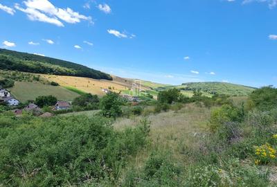 Teren 1 598 Mp De Vanzare, Panorama Superbă, Str Livezi, Sancrai - 6