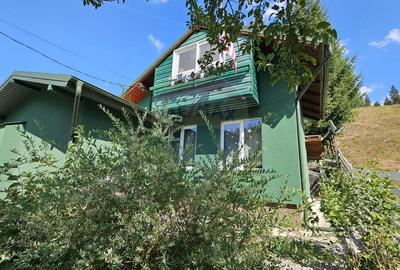 Casă / Vilă de vacanta in Dorna Arini, Suceava - 39