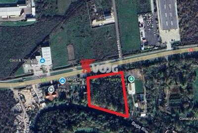 Proprietate unica in Remetea, 7500 mp - 1