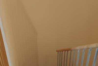 Gradistea  vila individuala - Locul perfect pentru iubitorii de natura ! - 48