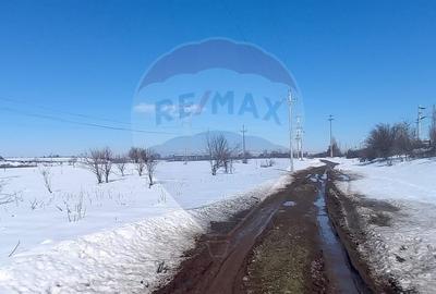 Teren 9,000mp Buftea / Strada Randunelelor - 1