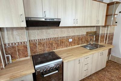 Apartament 2 camere de închiriat – zonă centrală  modern, luminos - 9