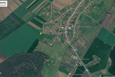 Teren pentru dezvoltare rezidentiala langa padure, in Pischia - 1